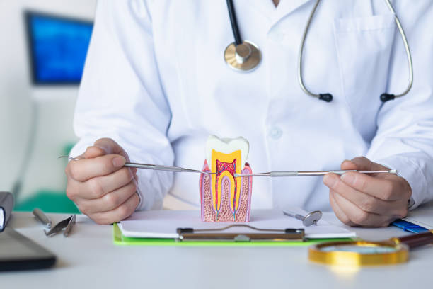 Best Emergency Dental Surgery in Discovery Harbour, HI